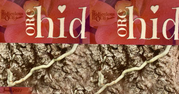 {{brizy_dc_image_alt entityId=